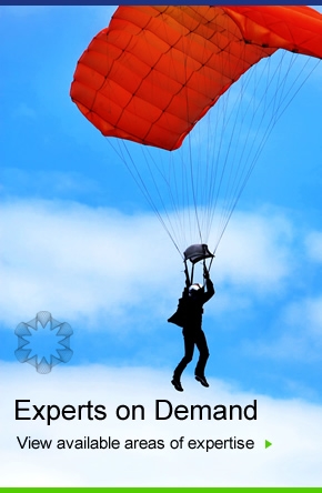 We provide experts on demand